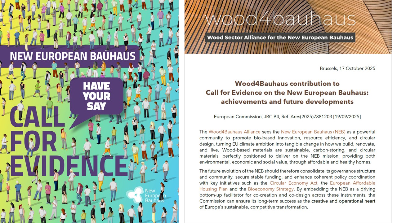 Call for Evidence New European Bauhaus